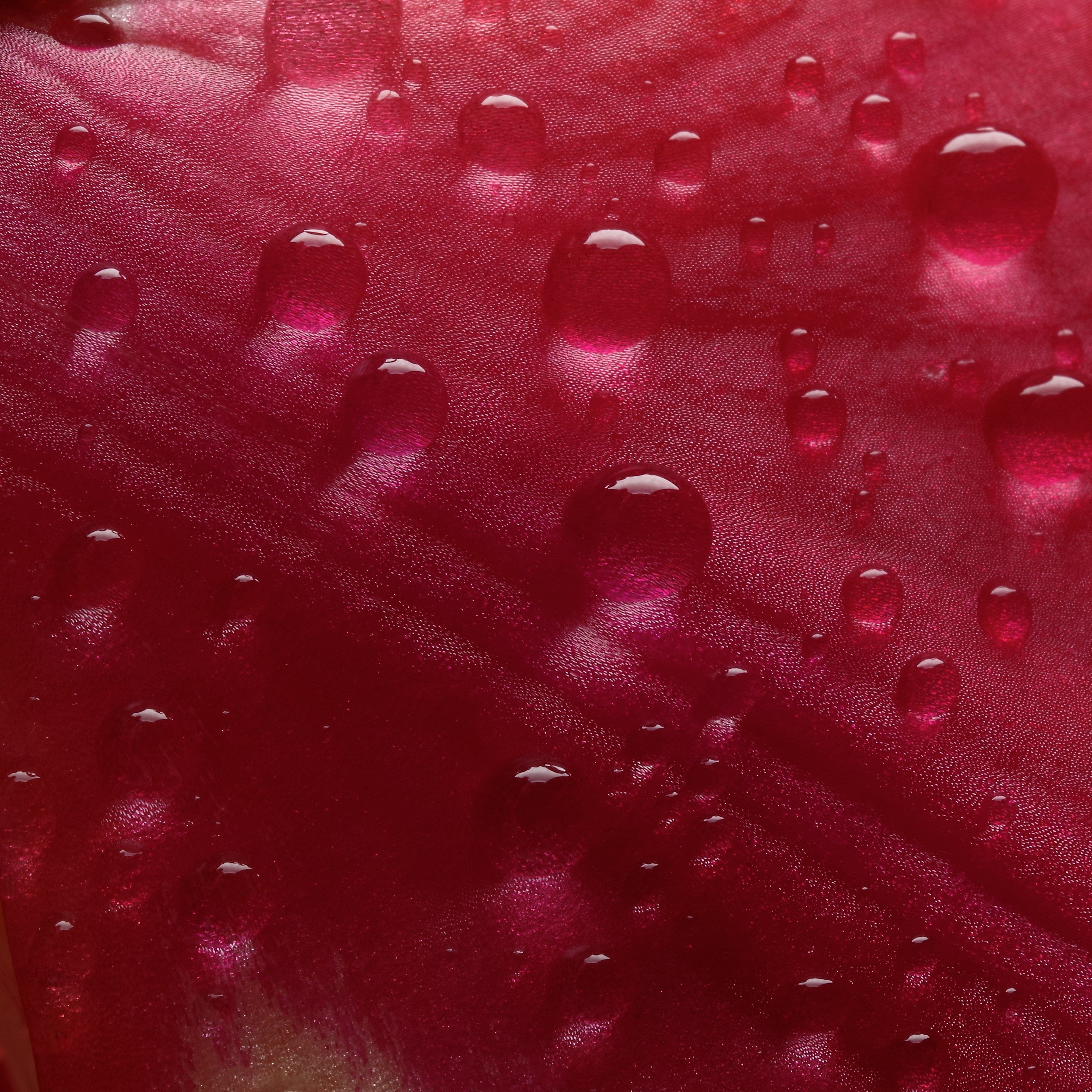 Close-up of water droplets on a red surface